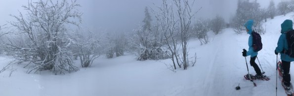 IMG_1396